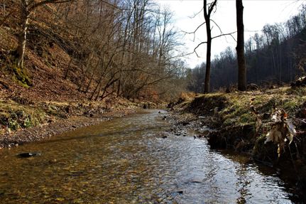 Property in Magoffin County, Kentucky