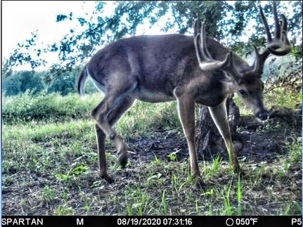 Property in Marshall County, Iowa