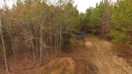 Property in Wilcox County, Alabama