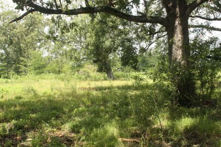 Property in Franklin Parish, Louisiana