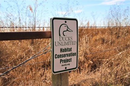 Property in Kearney County, Nebraska