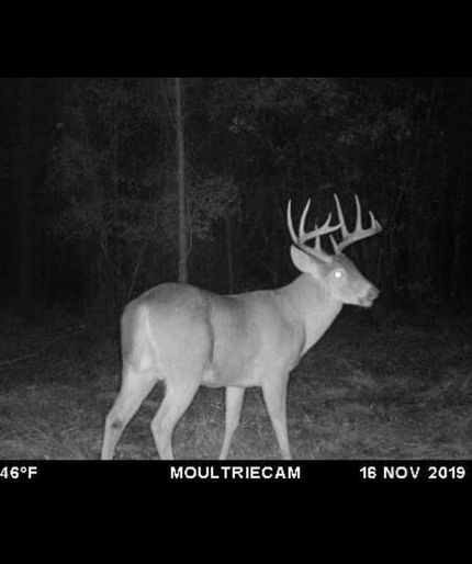 Property in Dodge County, Georgia