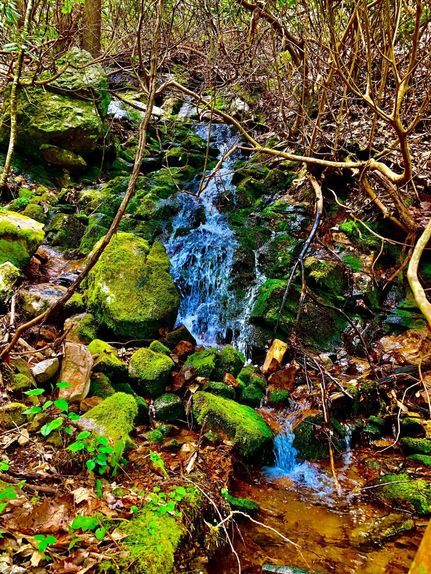 Property in Carter County, Tennessee