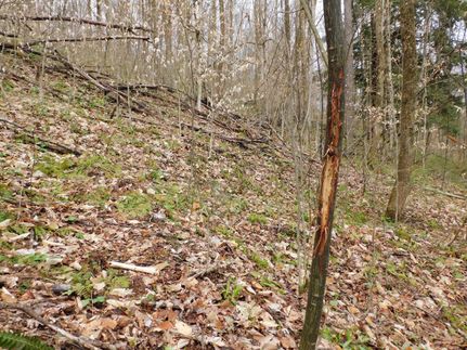 Property in McKean County, Pennsylvania