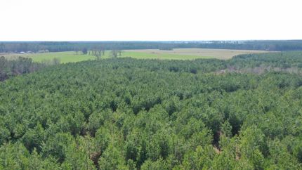 Property in Northampton County, North Carolina