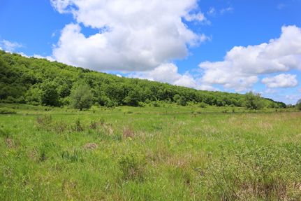 Property in Chautauqua County, New York