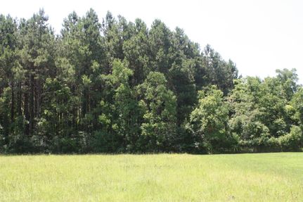 Property in Webster Parish, Louisiana