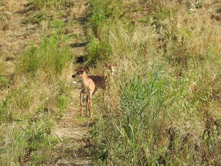 Property in Allamakee County, Iowa