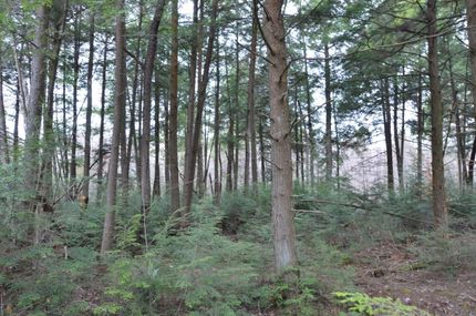 Property in Clearfield County, Pennsylvania