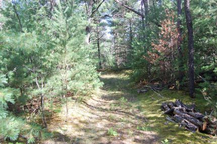 Property in Oscoda County, Michigan