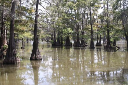 Property in Franklin Parish, Louisiana