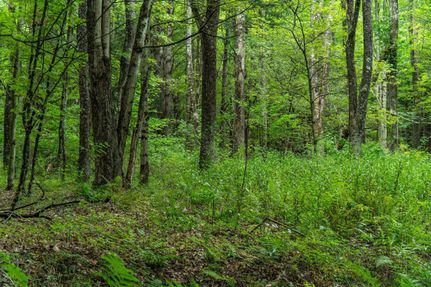 Property in Tioga County, New York