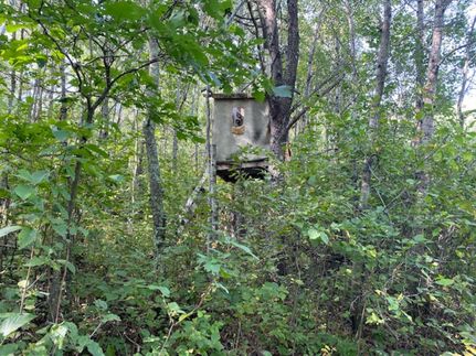 Property in Becker County, Minnesota