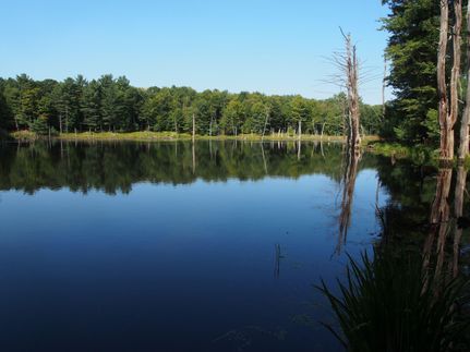 Property in Otsego County, New York