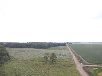 Property in Clay County, Arkansas