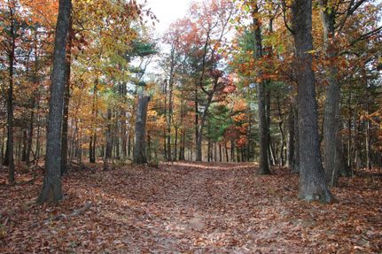 Property in Frederick County, Virginia