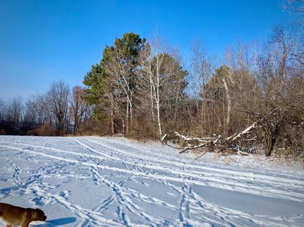 Property in Kanabec County, Minnesota