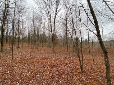 Property in Wayne County, Pennsylvania