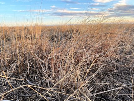 Property in Lincoln County, Colorado