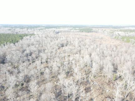 Property in Winn Parish, Louisiana