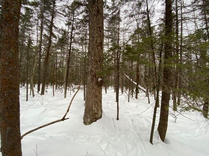 Property in Monroe County, Pennsylvania