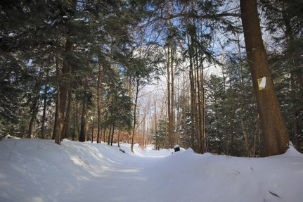 Property in Chautauqua County, New York