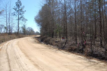 Property in Laurens County, Georgia