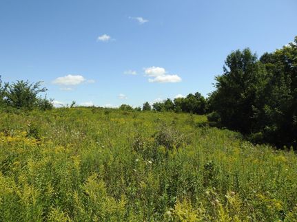 Property in Clayton County, Iowa