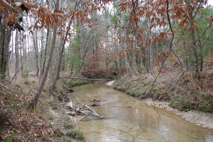 Property in Amite County, Mississippi