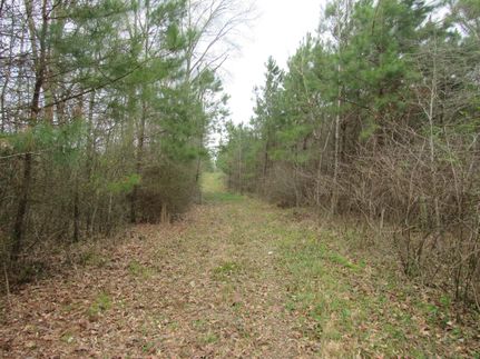 Property in Lincoln County, Arkansas