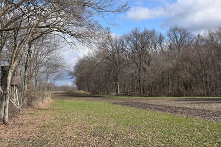 Property in DeWitt County, Illinois