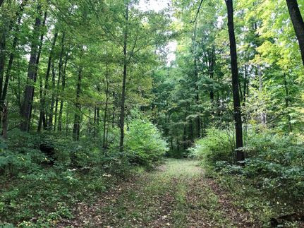 Property in Jackson County, Michigan