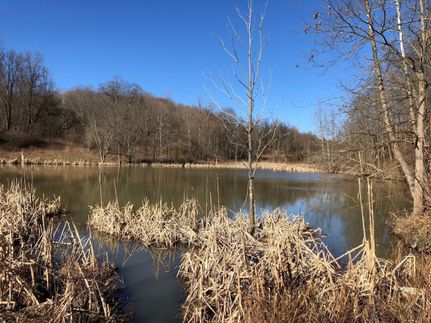 Property in Coshocton County, Ohio