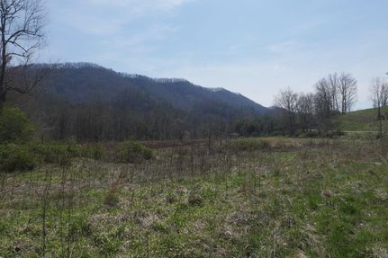 Property in Washington County, Virginia