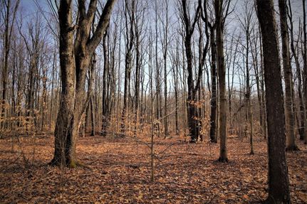 Property in Chautauqua County, New York