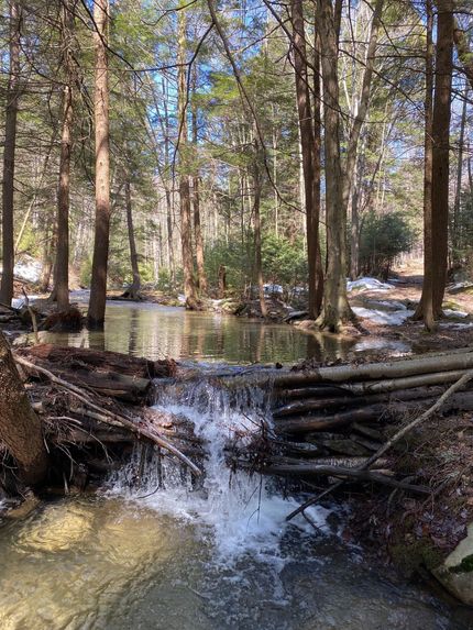 Property in Clearfield County, Pennsylvania