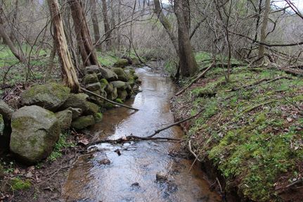 Property in Page County, Virginia