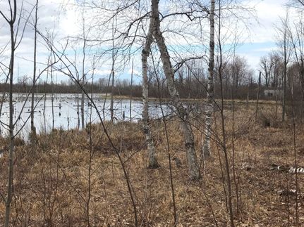 Property in Iosco County, Michigan