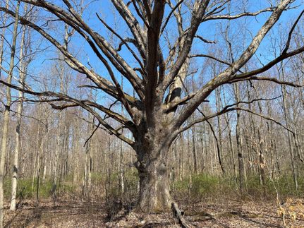 Property in Crawford County, Pennsylvania