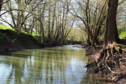 Property in Bourbon County, Kentucky