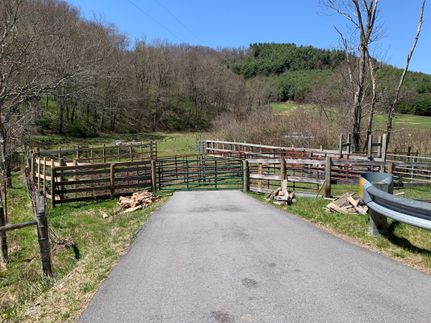 Property in Alleghany County, North Carolina