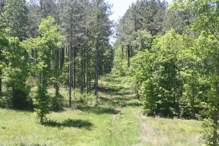 Property in Union Parish, Louisiana