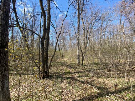 Property in Mille Lacs County, Minnesota