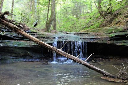 Property in Morgan County, Kentucky