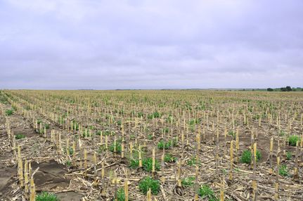Property in Osborne County, Kansas
