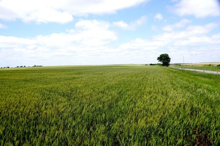 Property in Washita County, Oklahoma