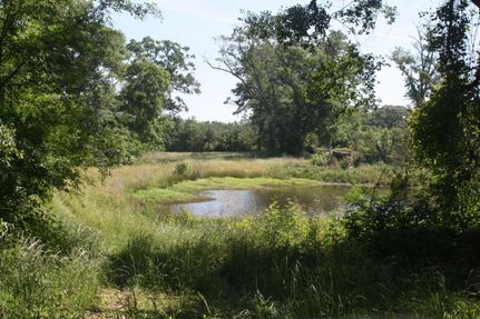 Property in Sabine Parish, Louisiana