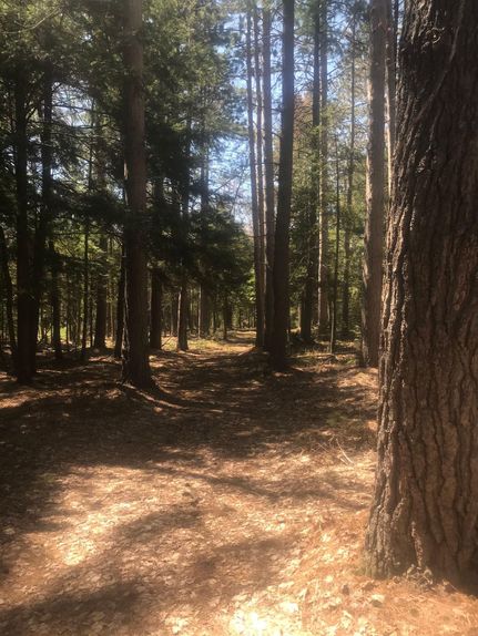 Property in Roscommon County, Michigan