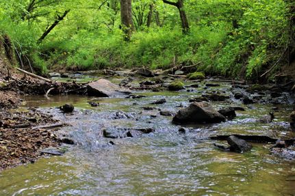 Property in McCreary County, Kentucky