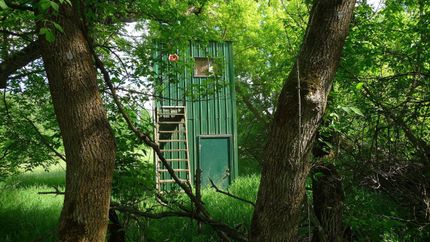 Property in Mecosta County, Michigan